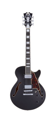 D'ANGELICO PREMIER SS (WITH STOPBAR TAILPIECE)