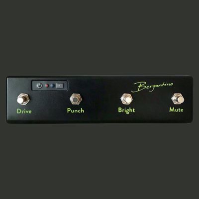 FORTÉ HP BLUETOOTH FOOTSWITCH1