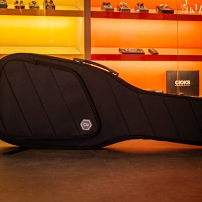 SIRE GIG BAG BAJO