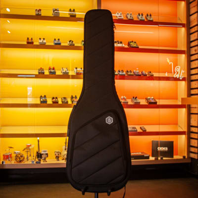 SIRE GIG BAG BAJO1