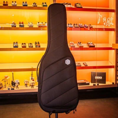 SIRE GIG BAG GUITARRA1