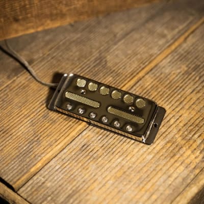 LOLLAR CÁPSULA GOLD FOIL BODY MOUNT1