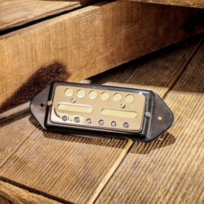 LOLLAR CÁPSULA GOLD FOIL DOGEAR