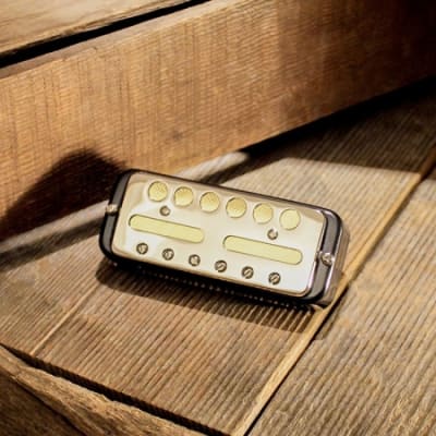LOLLAR CÁPSULA GOLD FOIL SOAPBAR1