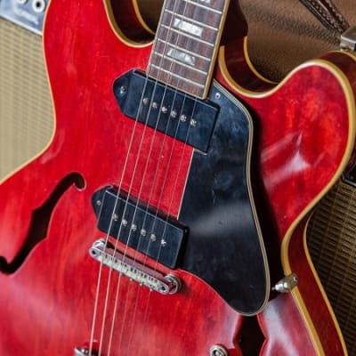 LOLLAR CÁPSULA P-90 DOGEAR