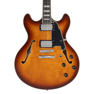 D'ANGELICO PREMIER DC DARK ICED TEA BURST1