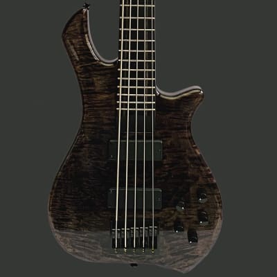 ZON LEGACY 5 STRINGS ZON LEGACY 5 STRINGS