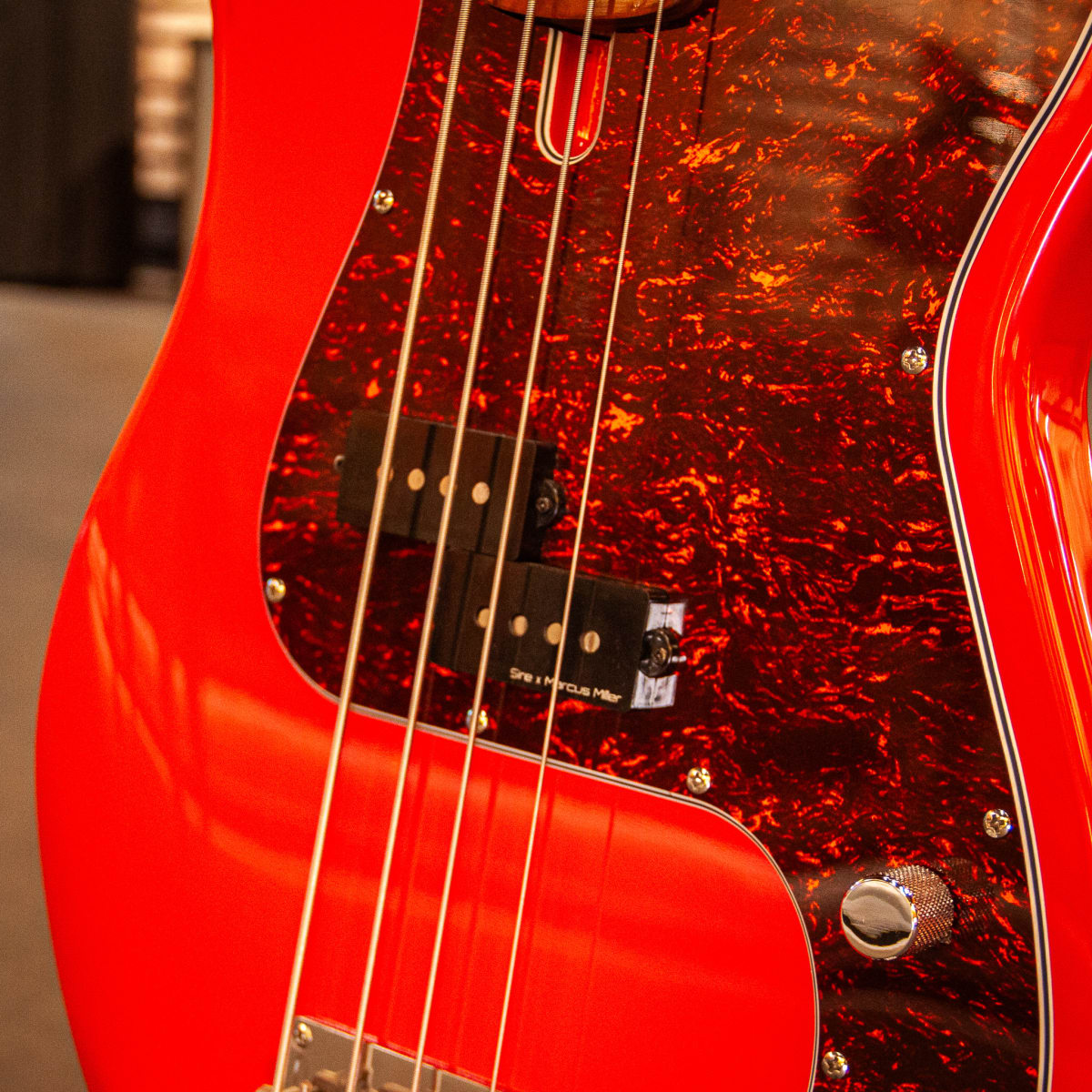 SIRE P5 DAKOTA RED3 SIRE P5 DAKOTA RED3