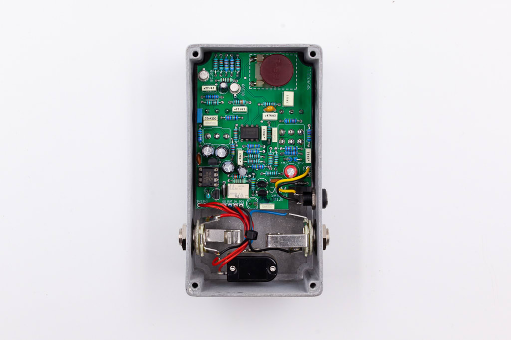 JAM SEAGULL | TARARÁ INSTRUMENTOS MUSICALES