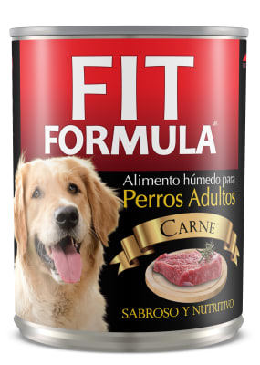 Fit Lata