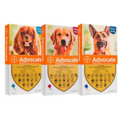 Advocate para perros