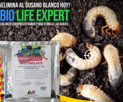 BIOLIFE EXPERT PRADERAS