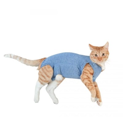 BODY DE GATO SIN PATAS