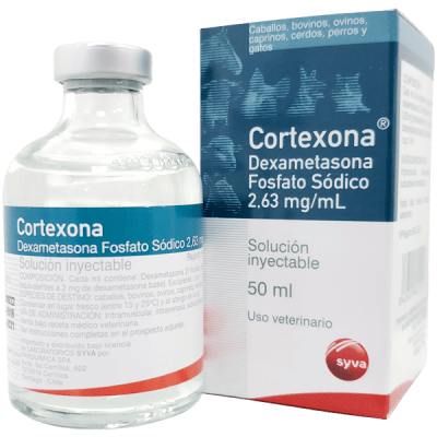Cortexona