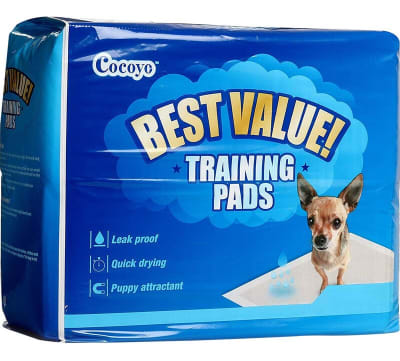 Sabanillas Best value Cocoa 50 unidad