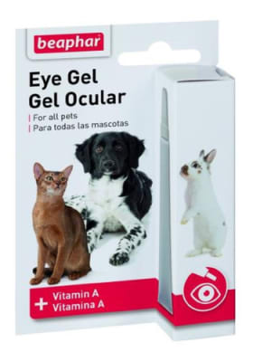 Gel Eye1