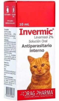 Invermic gato
