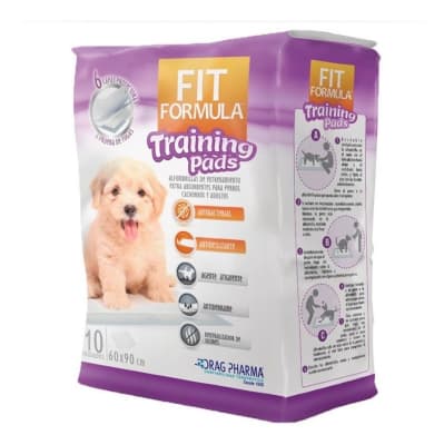 Sabanilla Fit Training1