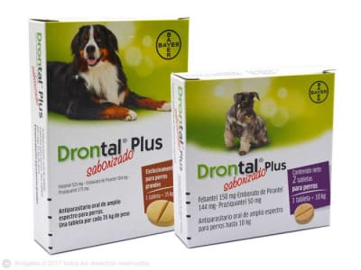 Drontal