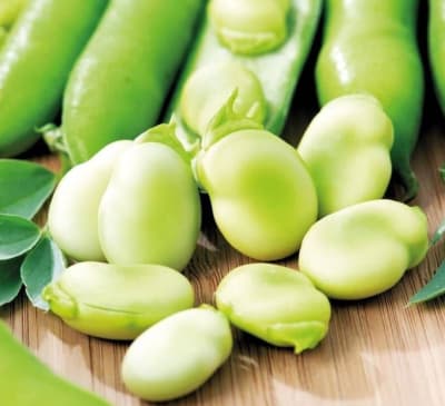 HABA SUPER AGUADULCE X KG1