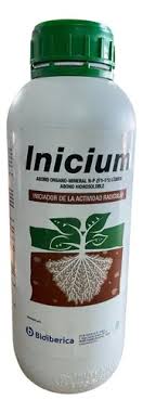 INICIUM