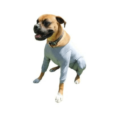 BODY DE PERRO CON PATAS