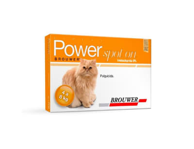 Power