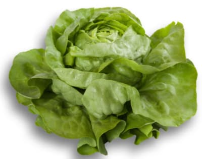 LECHUGA FABIETTO X GRAMO