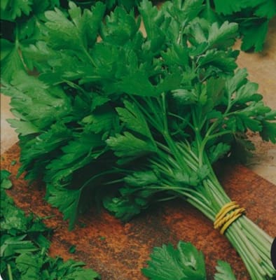 PEREJIL LISO X GRAMO1