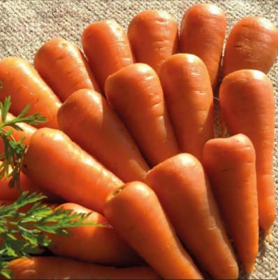ZANAHORIA ROYAL CHANTENAY X GRAMO