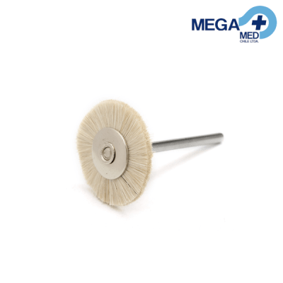 ESCOBILLA REDONDA CERDA SUAVE1