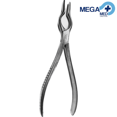 COTTLE WALSHAM PLASTICA NASAL1