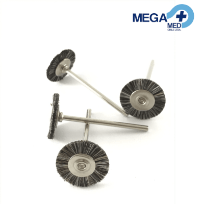 ESCOBILLA MONTADA CIRCULO MEDIANA1