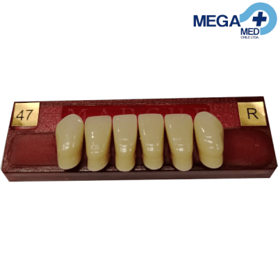 DIENTE MARCHE ANTERIOR INFERIOR COLOR 471