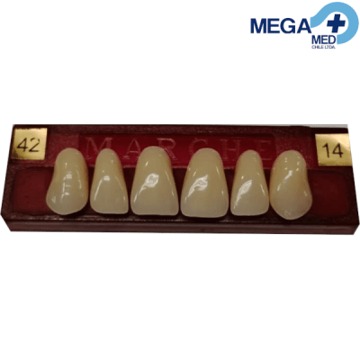 DIENTE MARCHE ANTERIOR SUPERIOR COLOR 421