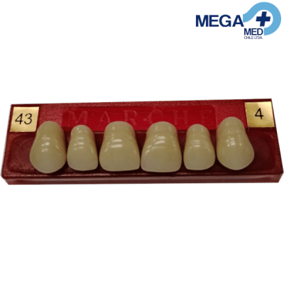DIENTE MARCHE ANTERIOR SUPERIOR COLOR 431