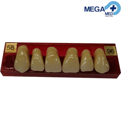 DIENTE MARCHE ANTERIOR SUPERIOR COLOR 581