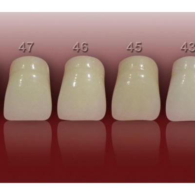 DIENTE MARCHE ANTERIOR SUPERIOR COLOR 461