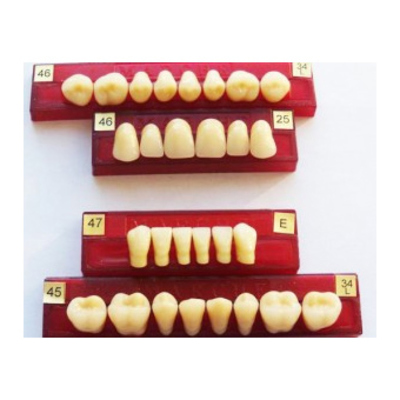 DIENTE MARCHE POSTERIOR SUPERIOR COLOR 421