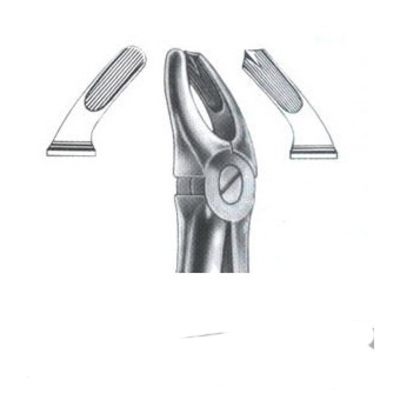 FORCEP # 17 INGLES ESPOLÓN MOLAR DERECHO1
