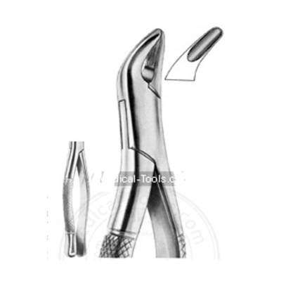 FORCEP # 62 PREMOLARES1