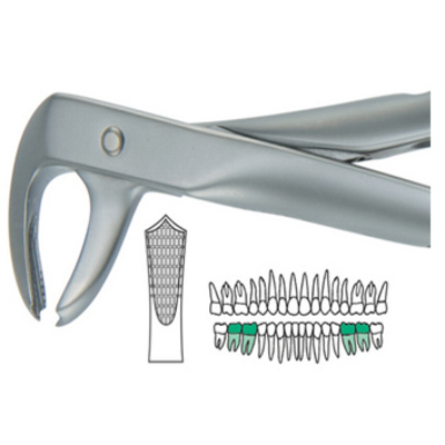 FORCEP # 7 INGLÉS MEDIO PREMOLAR SUPERIOR1