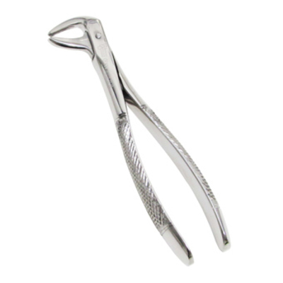 FORCEP # 75 CURVO S/BORDE FINO PREMOLAR1