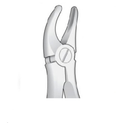 FORCEP # 18B INGLÉS UNIV. GRUESO S/ESPOLON1