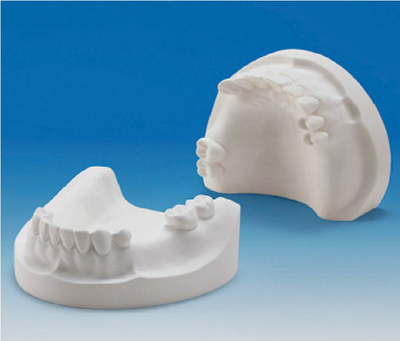 MODELO YESO IDEAL DENTADO SEMI-COMPLETO PAR1