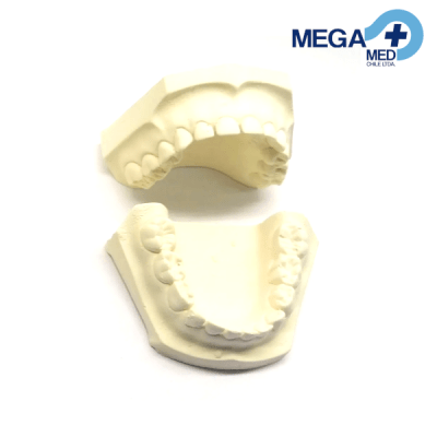 MODELO YESO IDEAL DENTADO INFANTIL PAR1