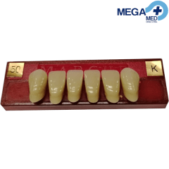 DIENTE MARCHE ANTERIOR INFERIOR COLOR 50
