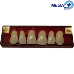 DIENTE MARCHE ANTERIOR SUPERIOR COLOR 42