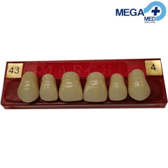 DIENTE MARCHE ANTERIOR SUPERIOR COLOR 43