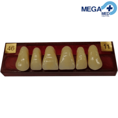 DIENTE MARCHE ANTERIOR SUPERIOR COLOR 46